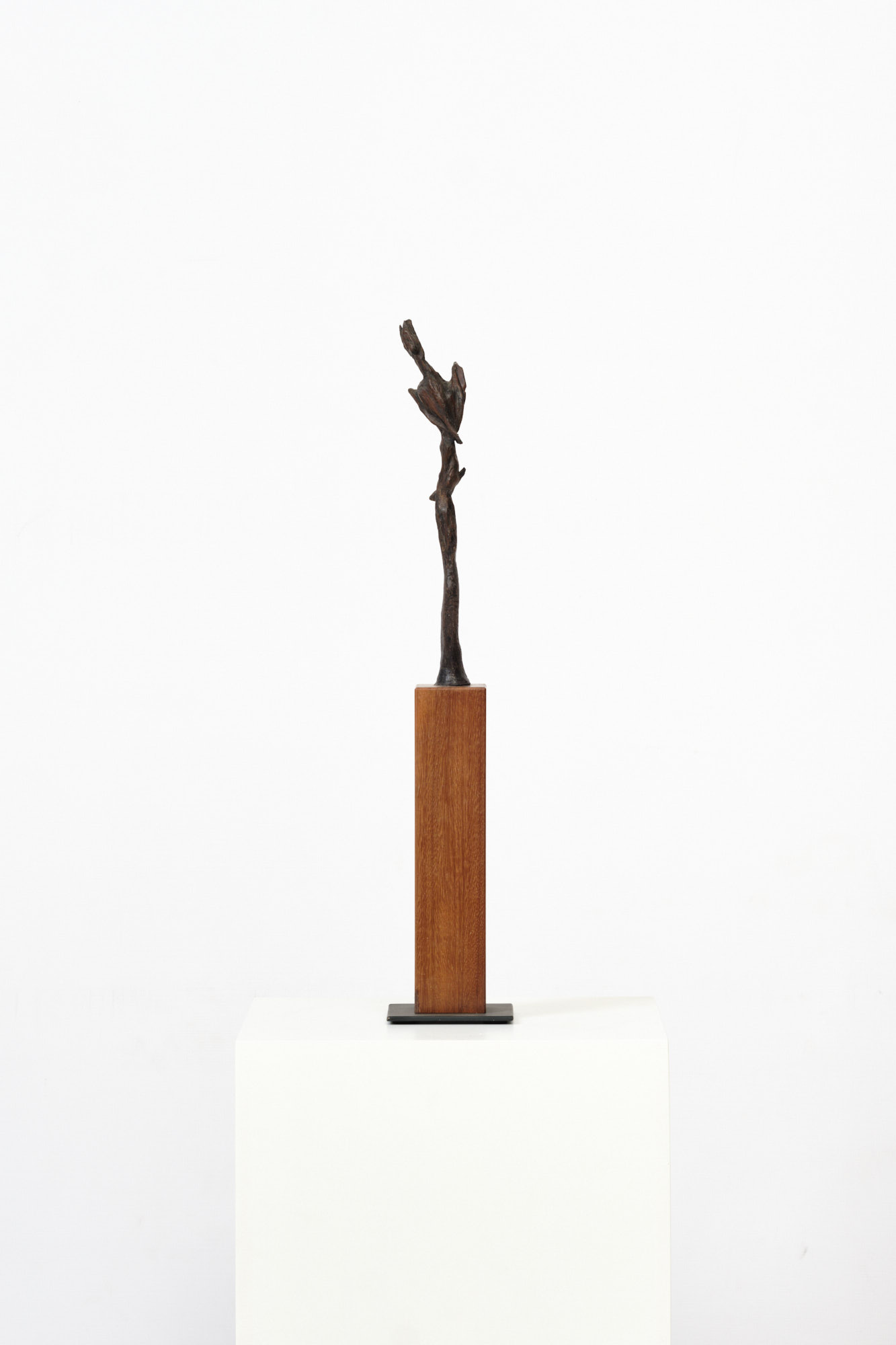 Michael Roderick Wedderburn Sculpture